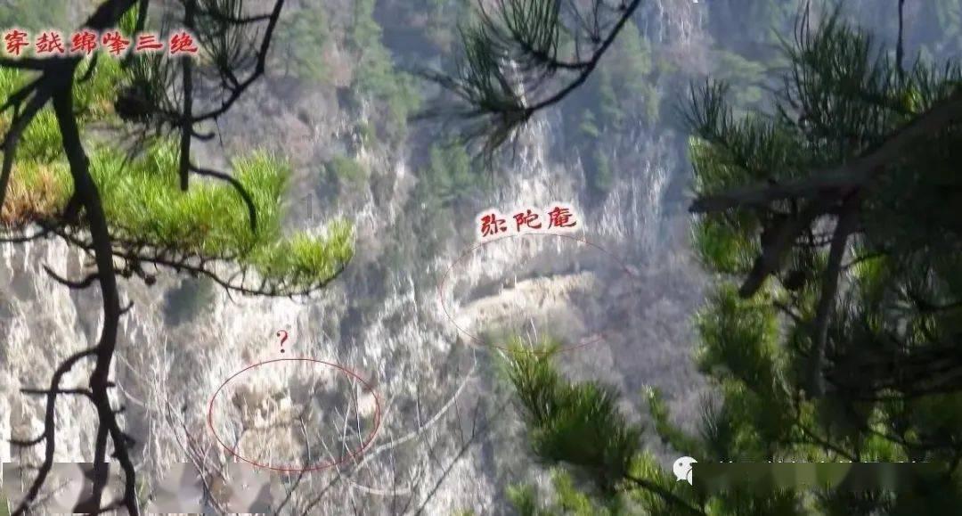 人民建议直通车丨中医药怎么“出圈”?听听中医学博士怎么说