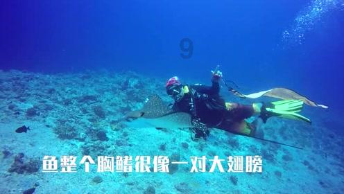 旋转射击2