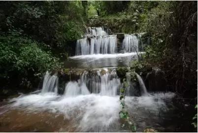 救援水管工